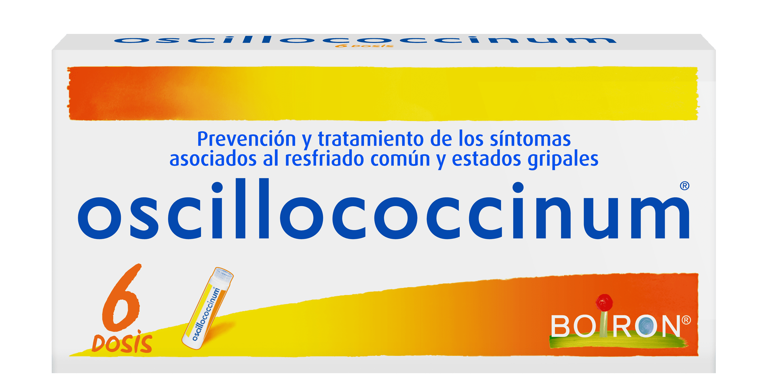 OSCILLOCOCCINUM CAJA X 6 TUBOS - Image 2